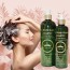 Dr.바디퀸 탈모 대용량 향기 좋은 추천 1위 샴푸 300ml+500ml, 1개, 800ml